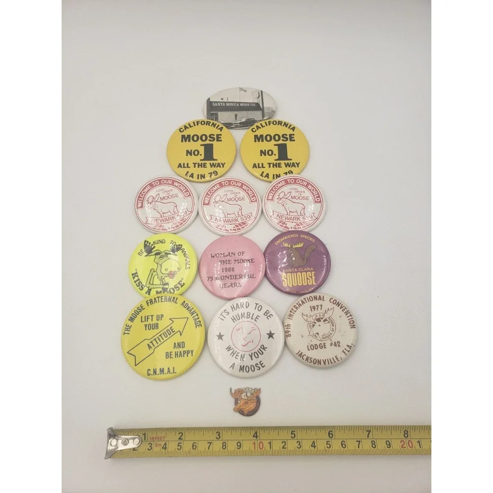 Vintage Moose Lodge Pinback Buttons 1970s-80s Lot Of 12‎ California NJ Florida